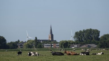 Борейки се против наложения неизбежен преход, нидерландските фермери посипаха магистрали с оборски тор