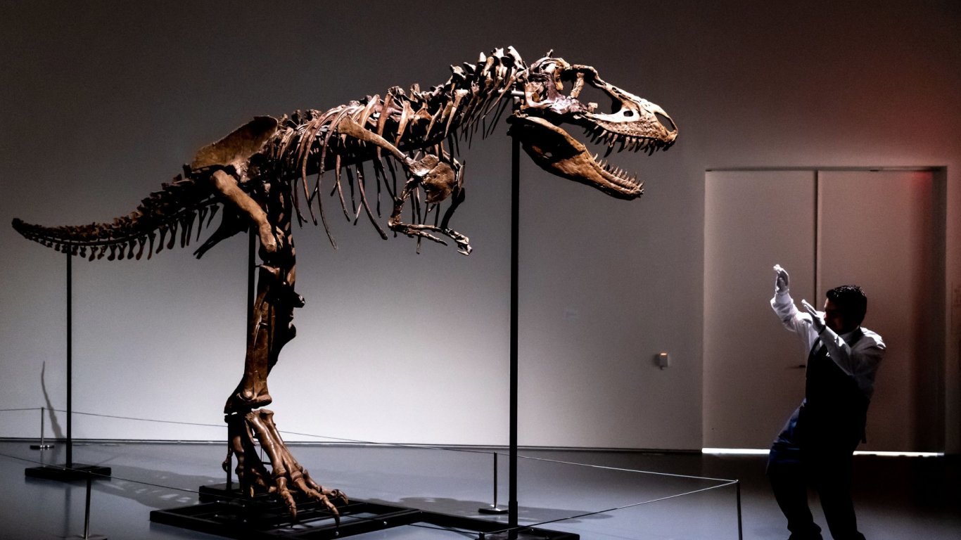 Скелет на Горгозавър бе продаден на търг за 6,1 млн. долара
