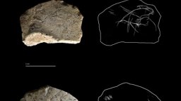 В Испания откриха гравюри на 14 000 години