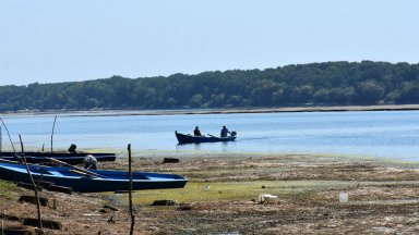 Изданието отбелязва че всеки мигрант плащал на трафикантите най малко 4000