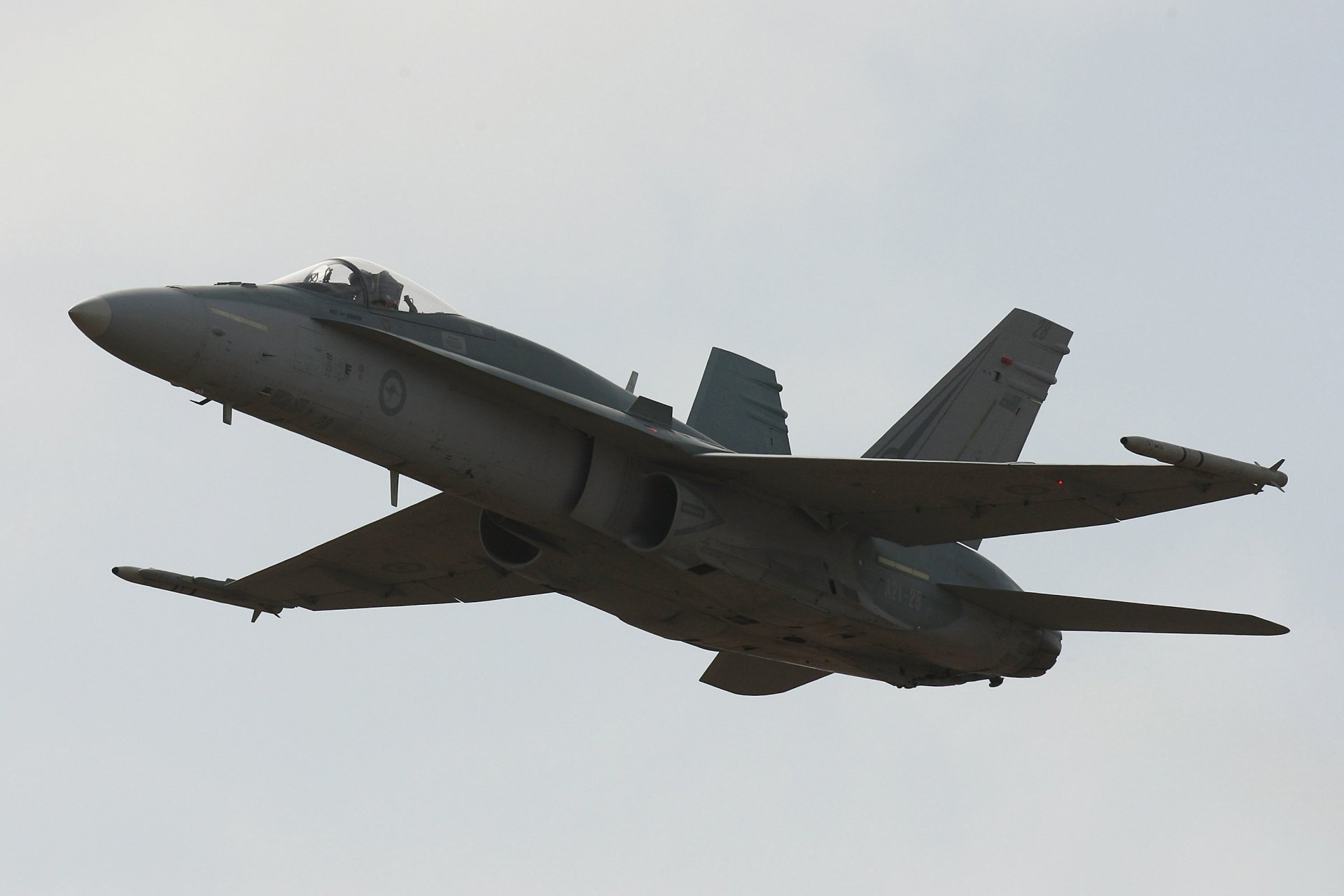 F/A-18 Hornet 