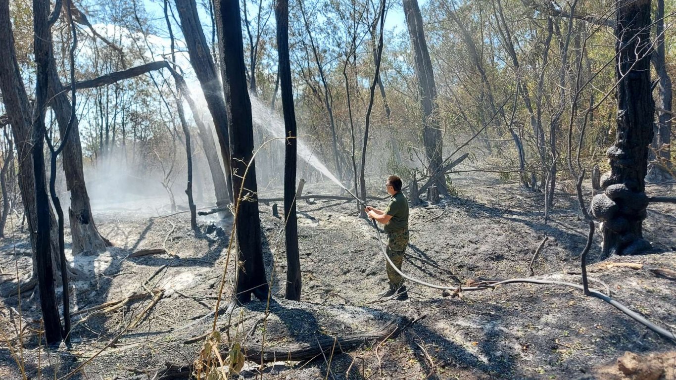 Пожарът в Сакар е овладян, засегнати са 800 декара гори