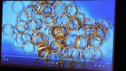 Аджерпрес: В уникална за Европа находка археолозите в окръг Бихор откриха съкровище, съдържащо 169 златни пръстена