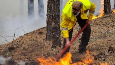 След три дни борба със стихията: Овладяха големия пожар в Елховско