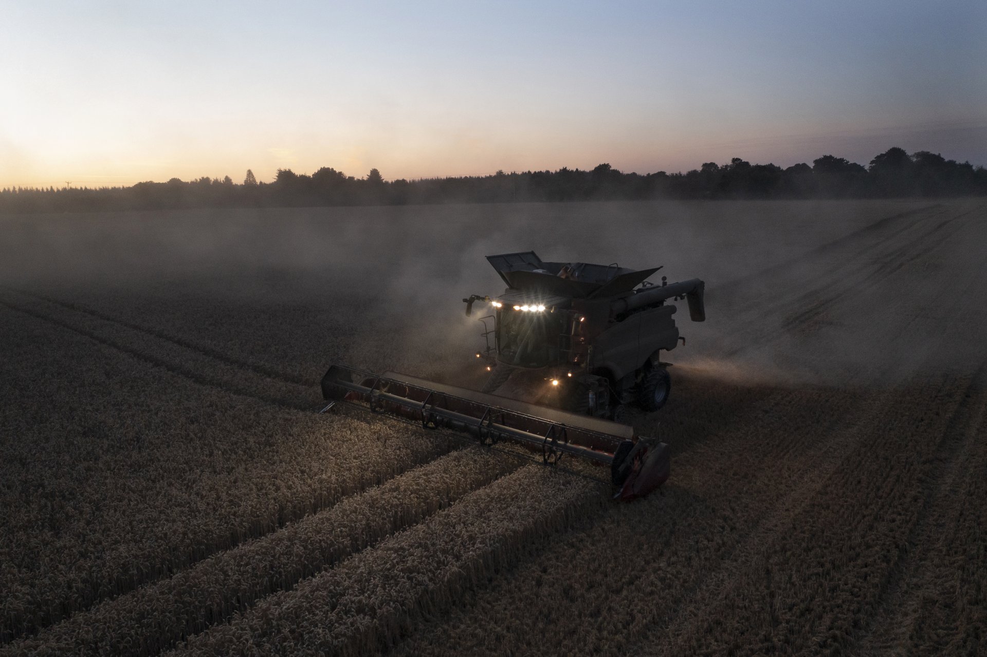 Комбайн жъне пшеница в ниви. Със затоплянето на климата фермерите в Обединеното кралство виждат годишната реколта да е готова до един месец по-рано в сравнение с последните 60 години, като тази през 2022 г. е най-ранната в историята.