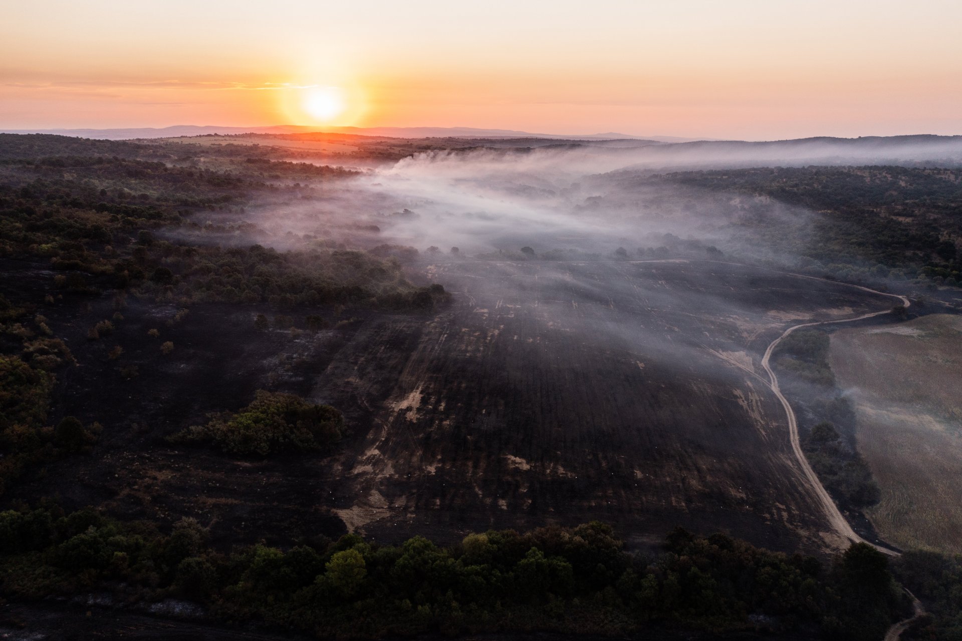 Снимката на Христо Русев от горящата гора в Брягово е след най-забележителните снимки на седмицата 