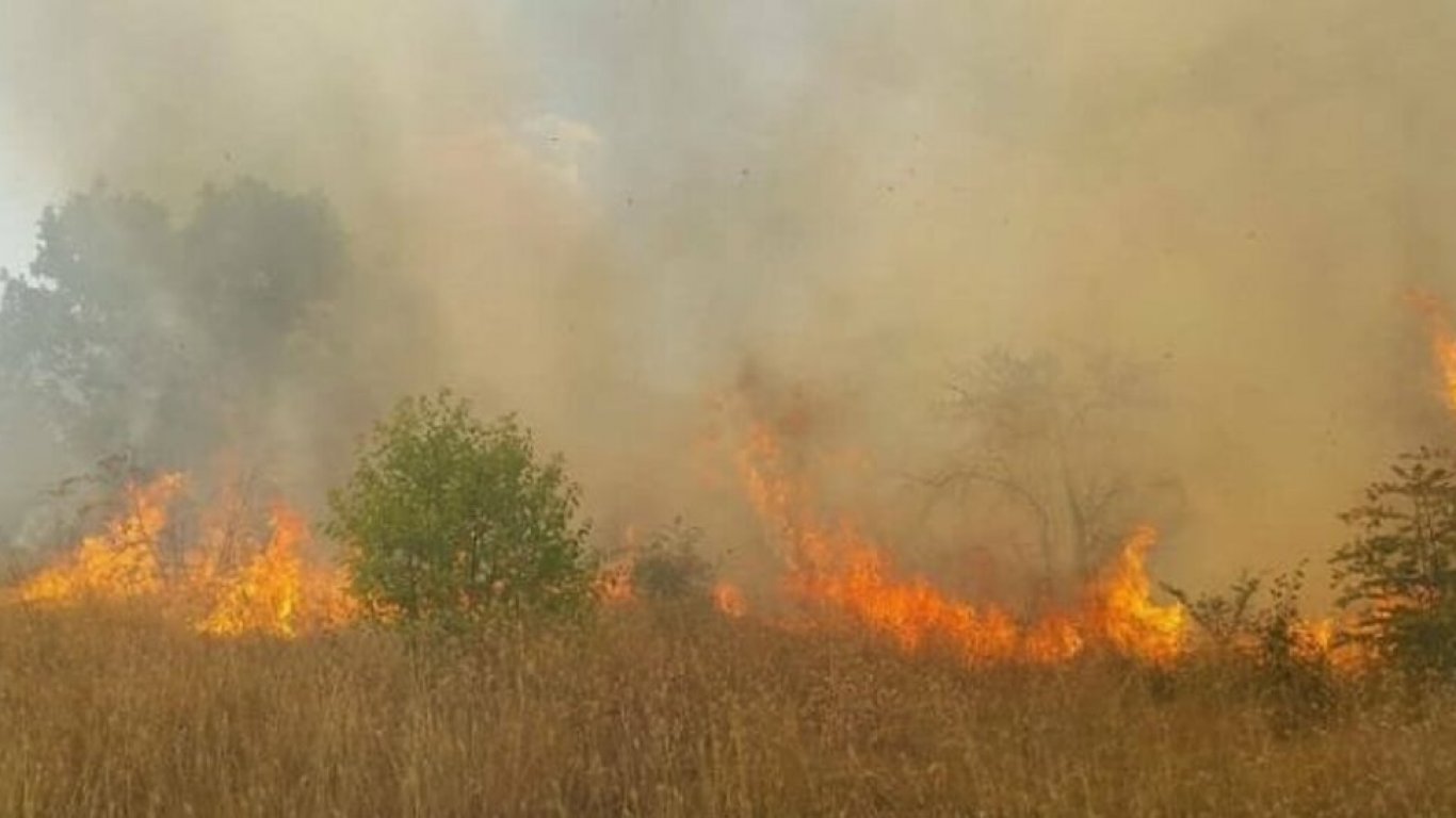 Военни се включват в гасенето на пожарите в Хасковско (обновена)