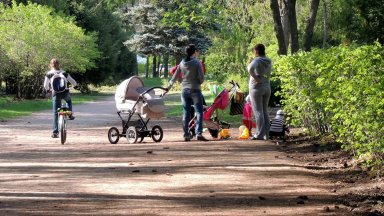 Колоездач помете майка с бебе в Борисовата градина, детето е с черепно-мозъчна травма