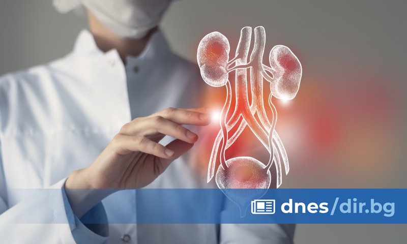 Около 900 българи се нуждаят от трансплантация на орган, но