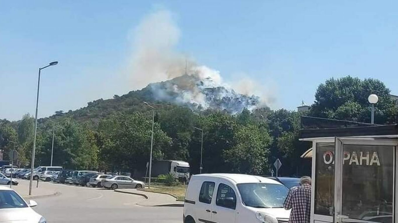 Пламна Младежкият хълм в Пловдив, треви се запалиха и до Пазарджишко шосе (снимки)