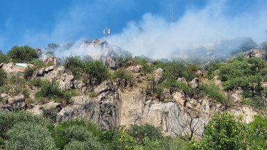 Близо 7 декара ниска растителност е изгоряла след големия пожар