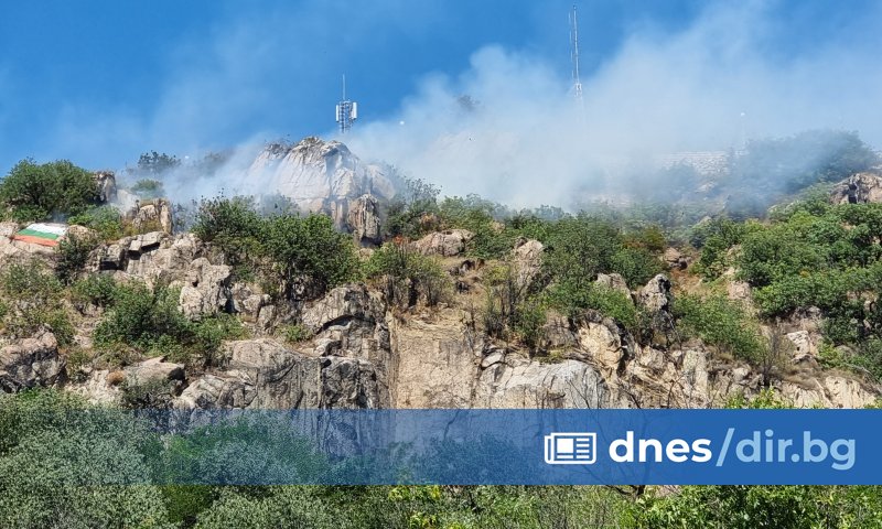 Близо 7 декара ниска растителност е изгоряла след големия пожар