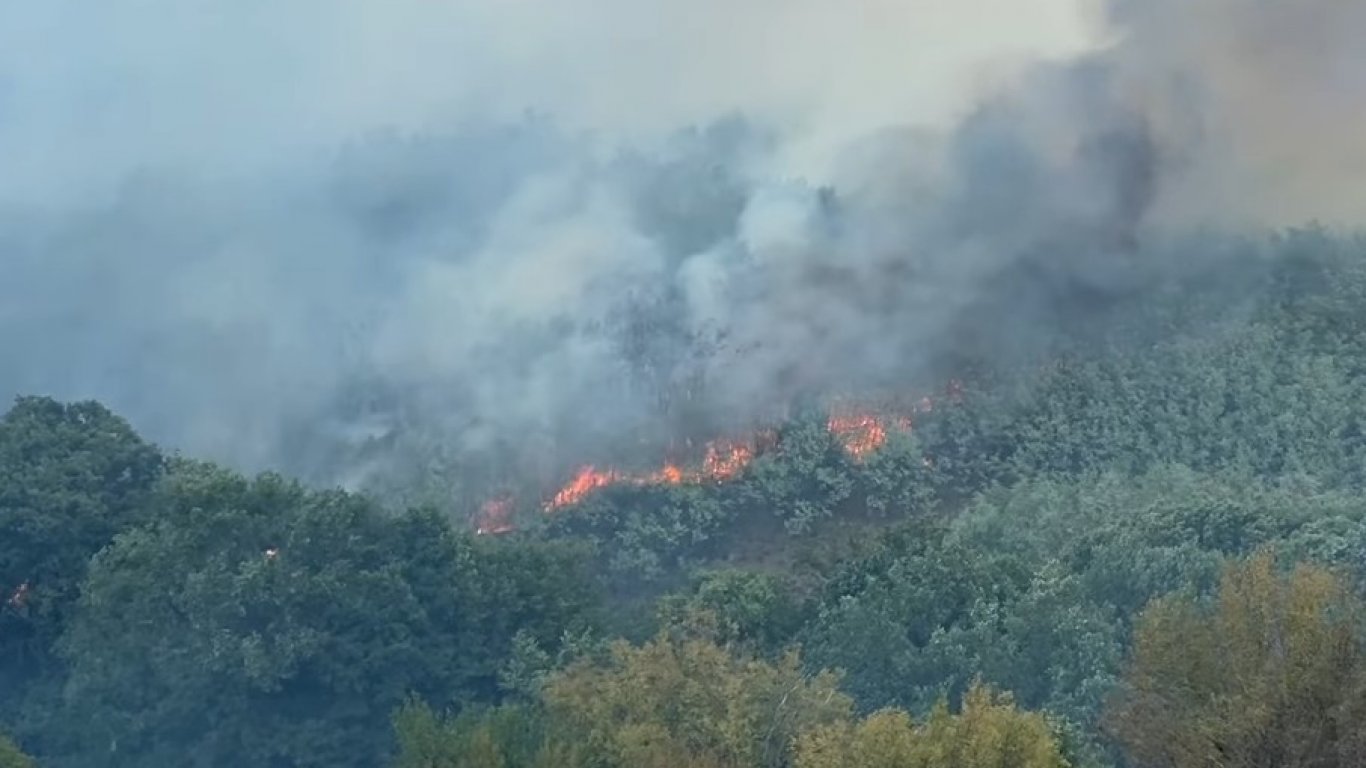  Пожар избухна във военен полигон "Тюлбето", затвориха пътя Казанлък-Мъглиж