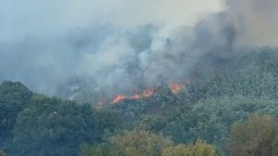  Пожар избухна във военен полигон "Тюлбето" при обезвреждане на боеприпаси (видео)