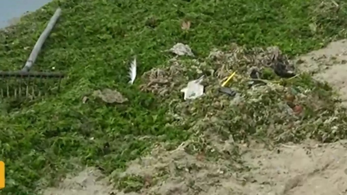 Туристи се натъкнаха на болнични отпадъци в морето на Офицерския плаж във Варна (видео)