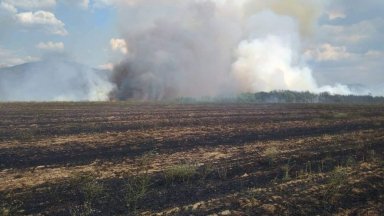 Локализиран е пожара край Казанлък 