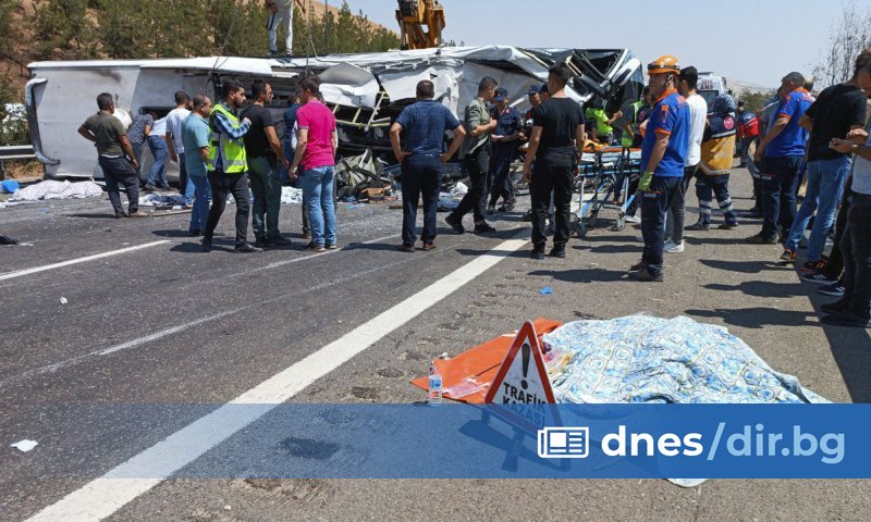 Товарен камион с повредени спирачки е причинил жестока катастрофа в