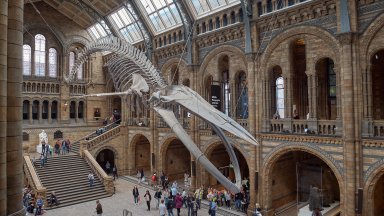 Британските библиотеки и музеи се подготвят да бъдат топло убежище