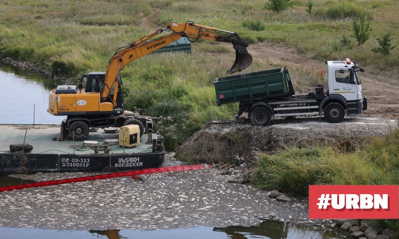 Багер вади мъртва риба и миди по източния бряг на река Одер и ги ...