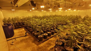 Служители на ГД Национална полиция съвместно с колеги от сектор