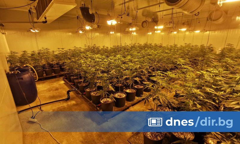 Служители на ГД Национална полиция, съвместно с колеги от сектор