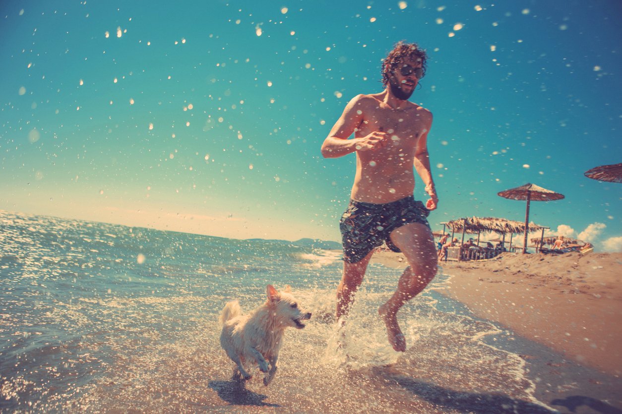 В Барселона кучето ви е добре дошло и на плажа