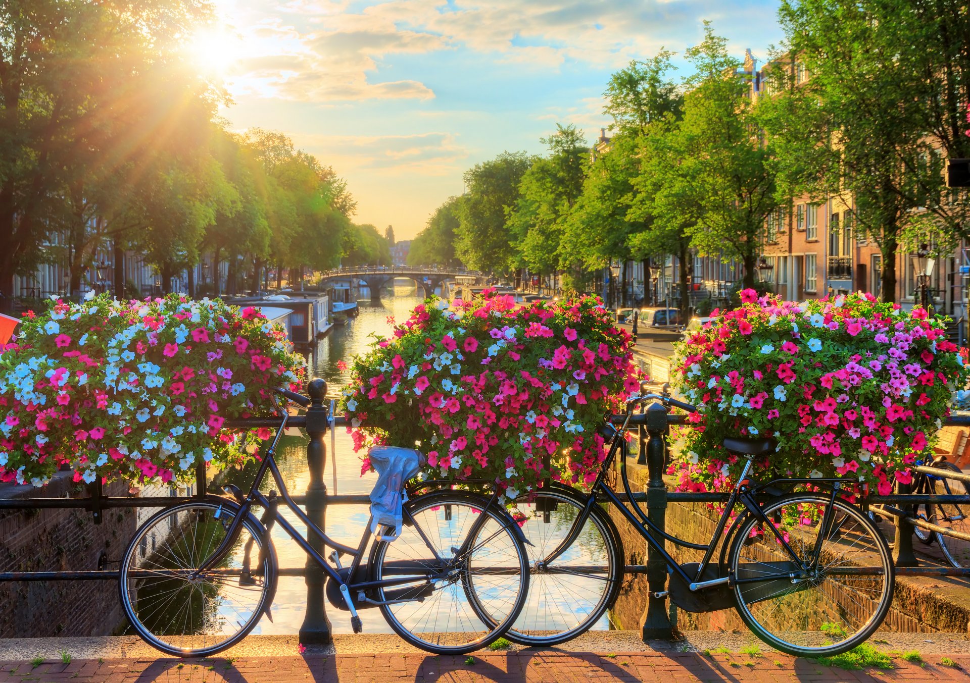 Амстердам също е сред градовете с най-добра велосипедна мрежа