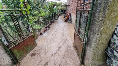 Община Карлово поиска от Министерството на земеделието да осигури организация