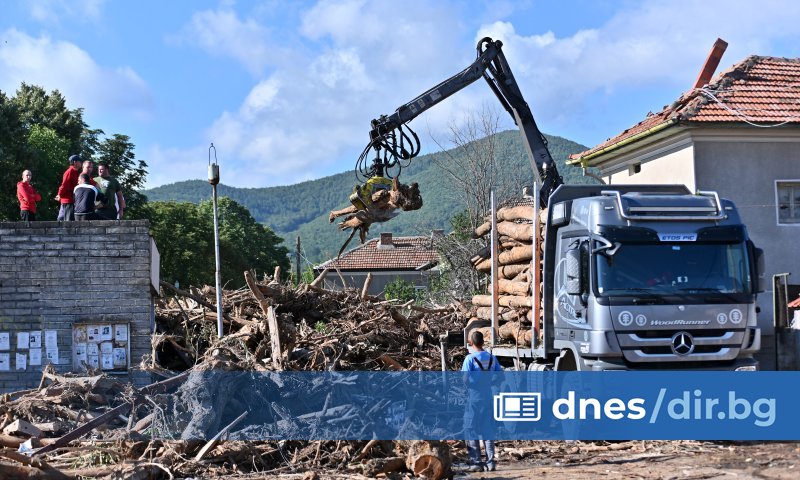 Всички дърва, които са донесени от наводнението в Карловско, остават