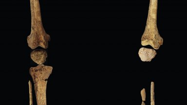 Скелет на 31 000 години на млад мъж с липсваща