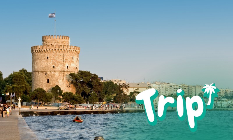 В положение на обсада от поне 9 000 диви свине