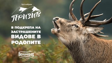 Призив от природата: Редица животински видове в Родопите са пред изчезване