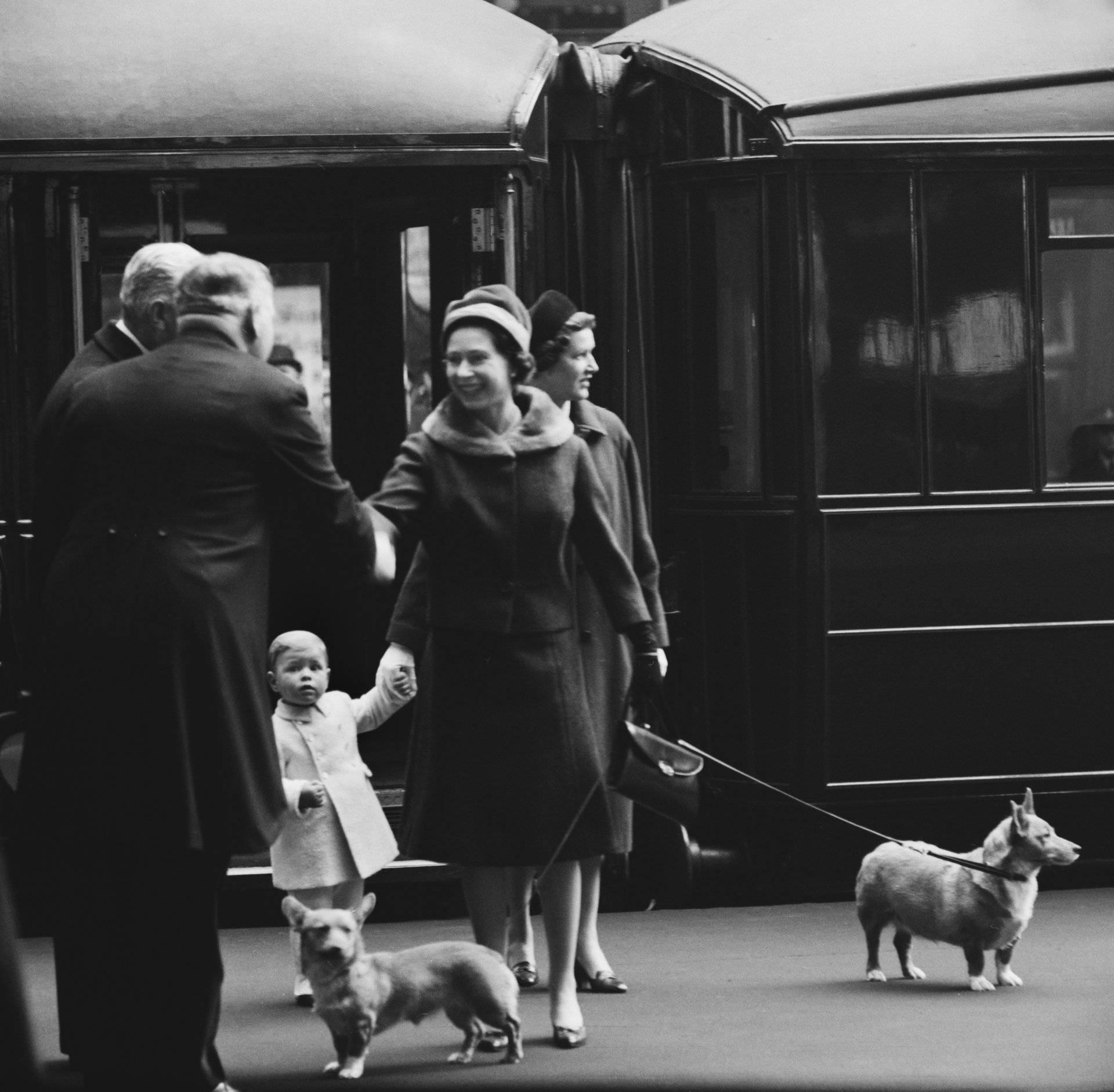 Кралица Елизабет Втора с кучетата си от порода корги през 1962 г.