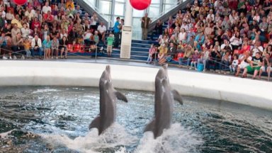 Те ще се състоят на 1 юни 2024 г за