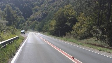 Само дни след поставянето на колчетата в дефилето някои от