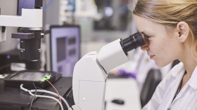 Безспорно най добрият избор за пушачите би бил пълният отказ от