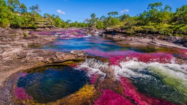 Каньо Кристалес – неземно красивата река с пет цвята