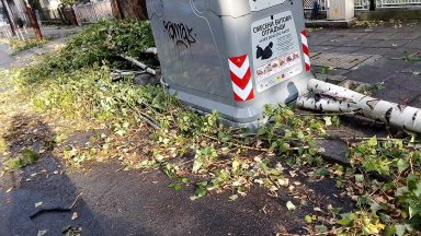 Продължава разчистването днес на паднали дървета клони ламарини и керемиди