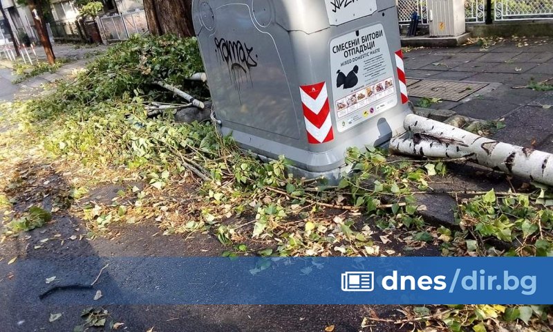 Продължава разчистването днес на паднали дървета, клони, ламарини и керемиди