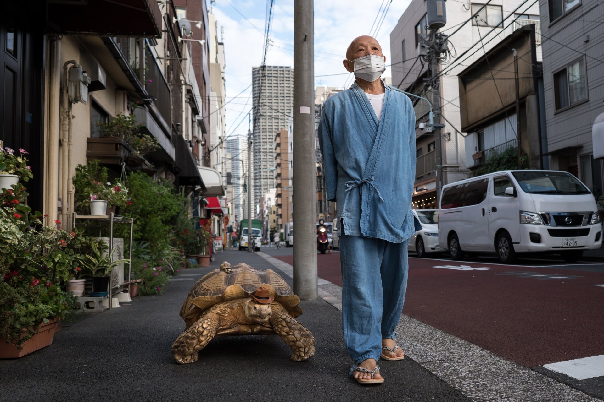 Вайръл костенурката Бон-чан в Токио