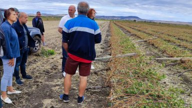 Поморие промени частичното бедствено положоение в бедствено за да може