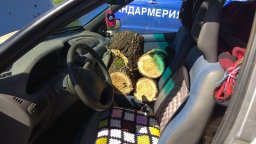 След спекацията в Русенско: Трима арестувани, 190 глобени шофьори и 29 установени престъпления