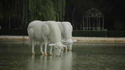 Библейските овце на Павел Койчев се появиха в Южния парк (снимки)
