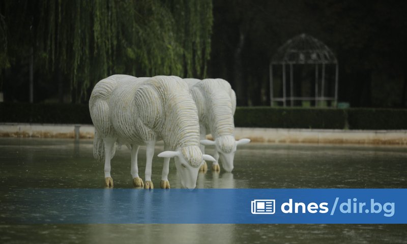 Моят характер явно е издържан в мажорната гама и това