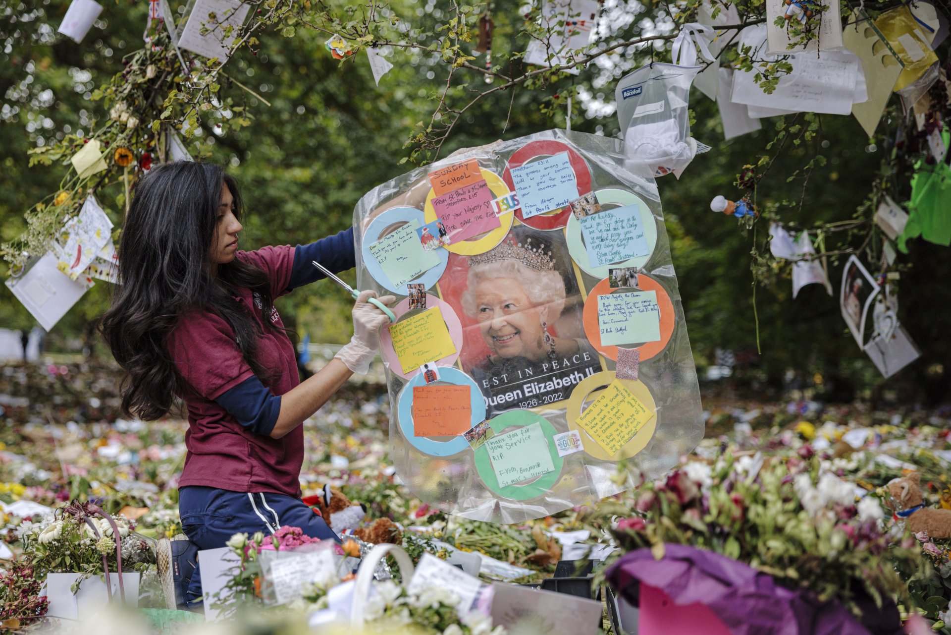 Доброволката Алесандра, на 25 години помага за премахванеето и сортирането на посланията в памет на кралица Елизабет II, прикрепени към дърво в Грийн Парк 