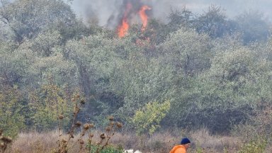 Голям пожар избухна в тревни площи и храсти над варненския