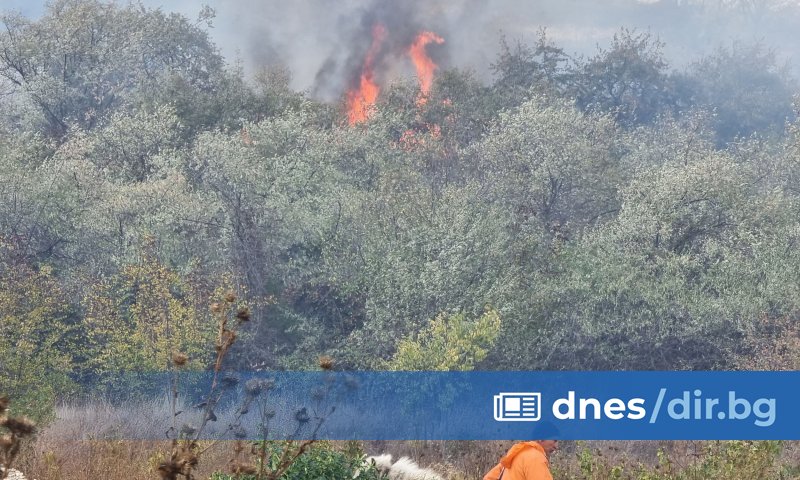 Голям пожар избухна в тревни площи и храсти над варненския