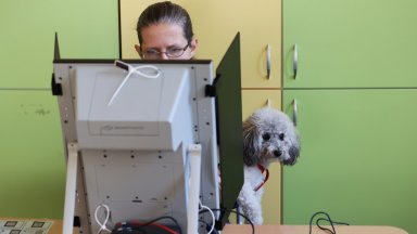Българите гласуваха с кученца в ръка, с бебета и в сватбени рокли: Изборният ден в кадри (снимки)