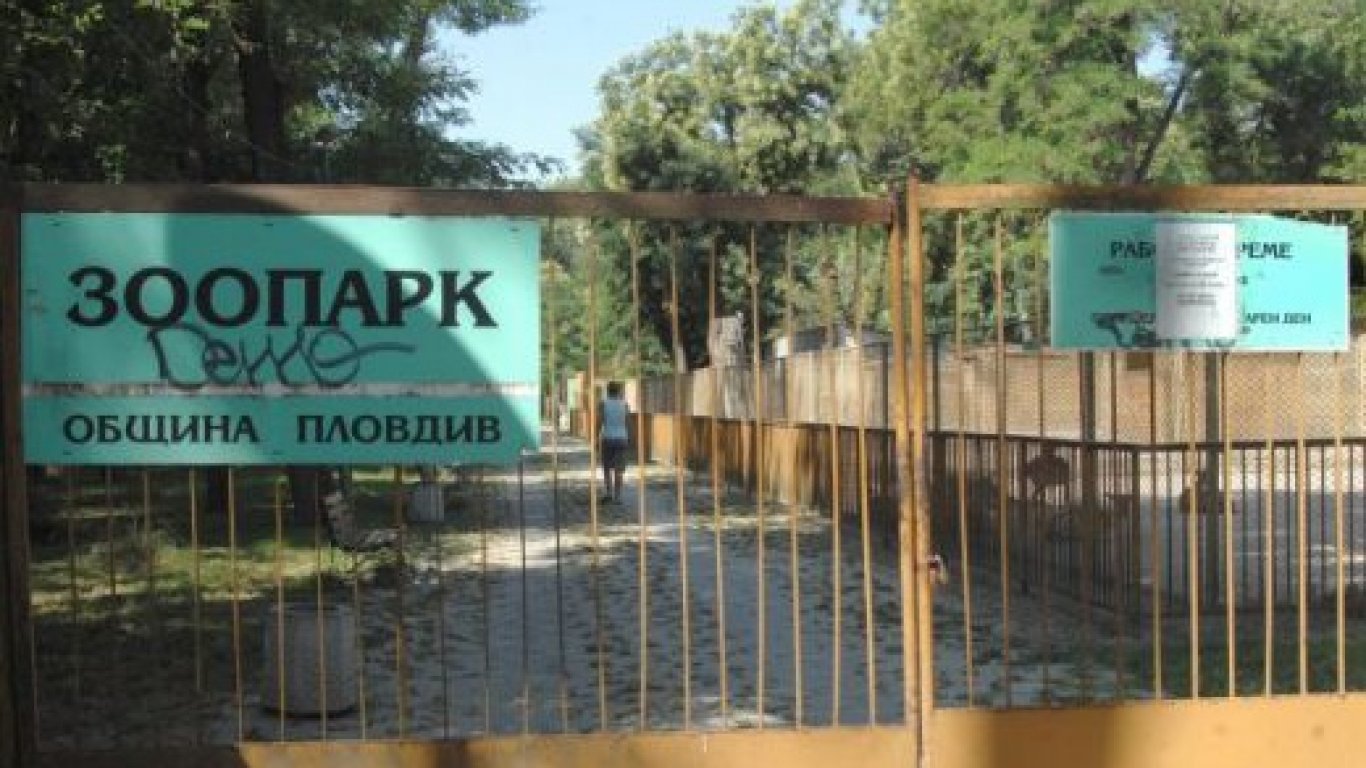 Довършват зоопарка в Пловдив на инженеринг   