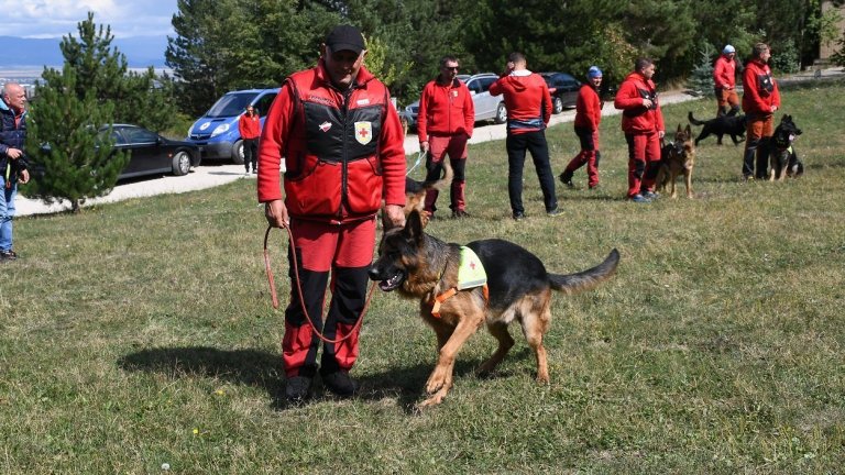 Обучени кучета с GPS устройства ще спасяват изгубени в планината (снимки)
